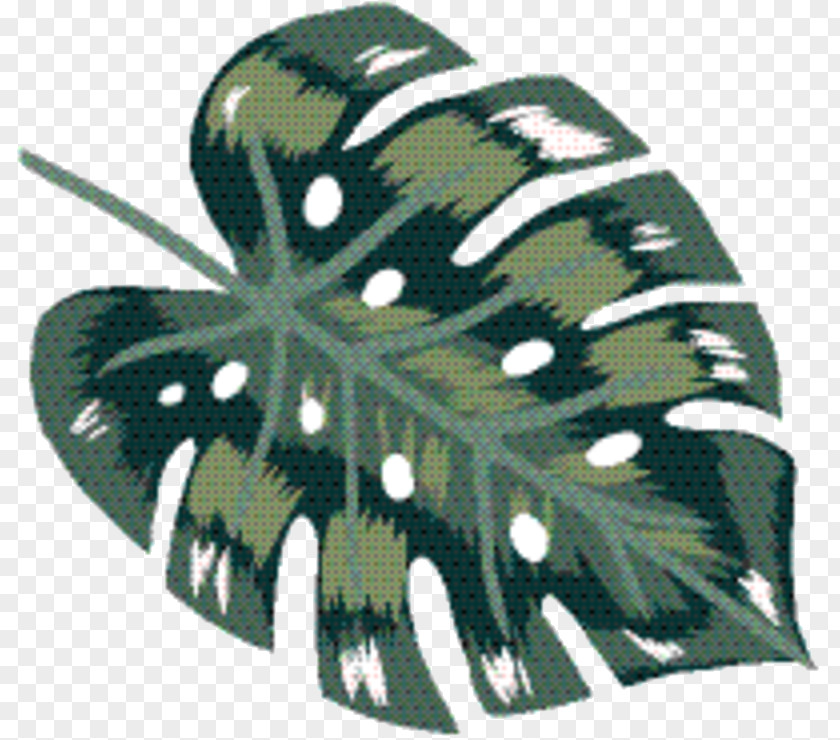Insect Moths And Butterflies Green Leaf Background PNG