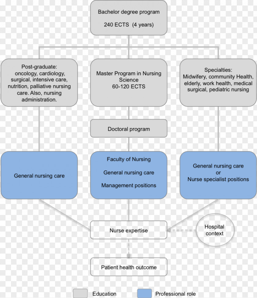 Postgraduate Nursing Nurse Education Hospital Patient PNG