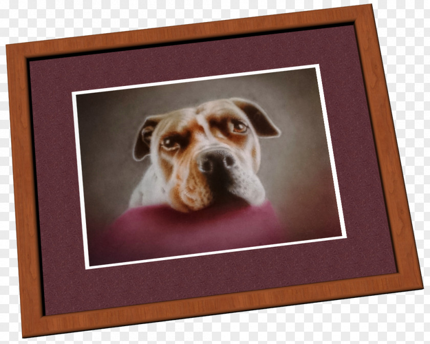 Three-dimensional Square Business Chin Dog Breed Puppy Snout Picture Frames PNG
