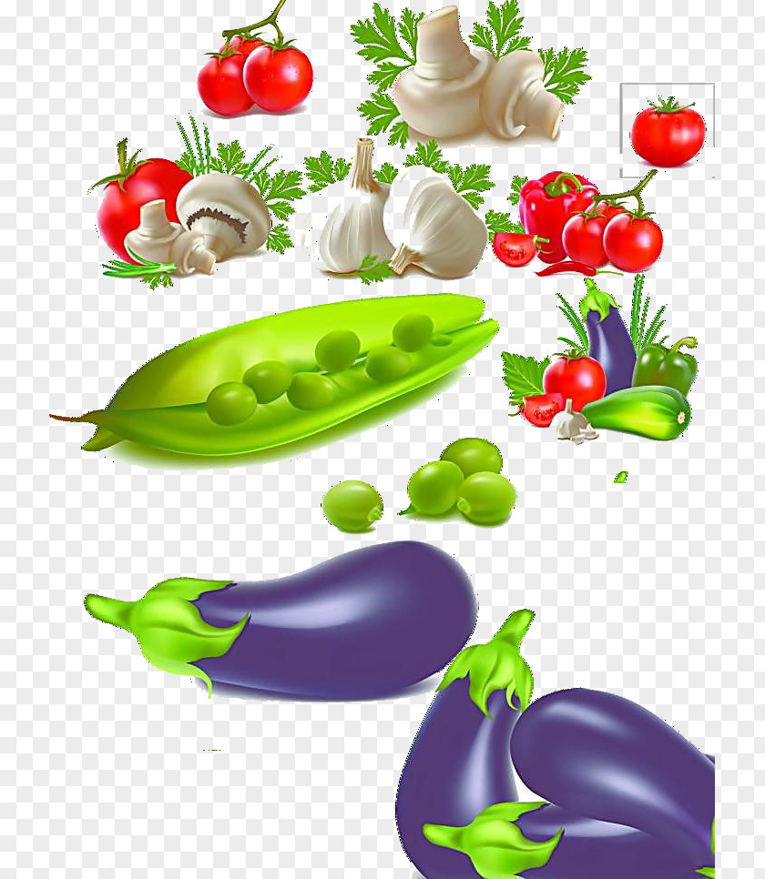 Total Vegetables Vegetable Food PNG