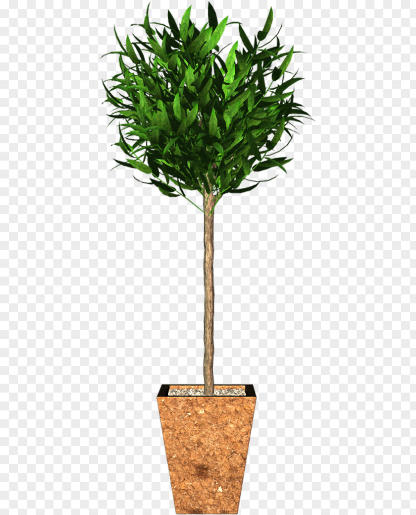 Tree Flowerpot Houseplant Branch Garden Roses PNG