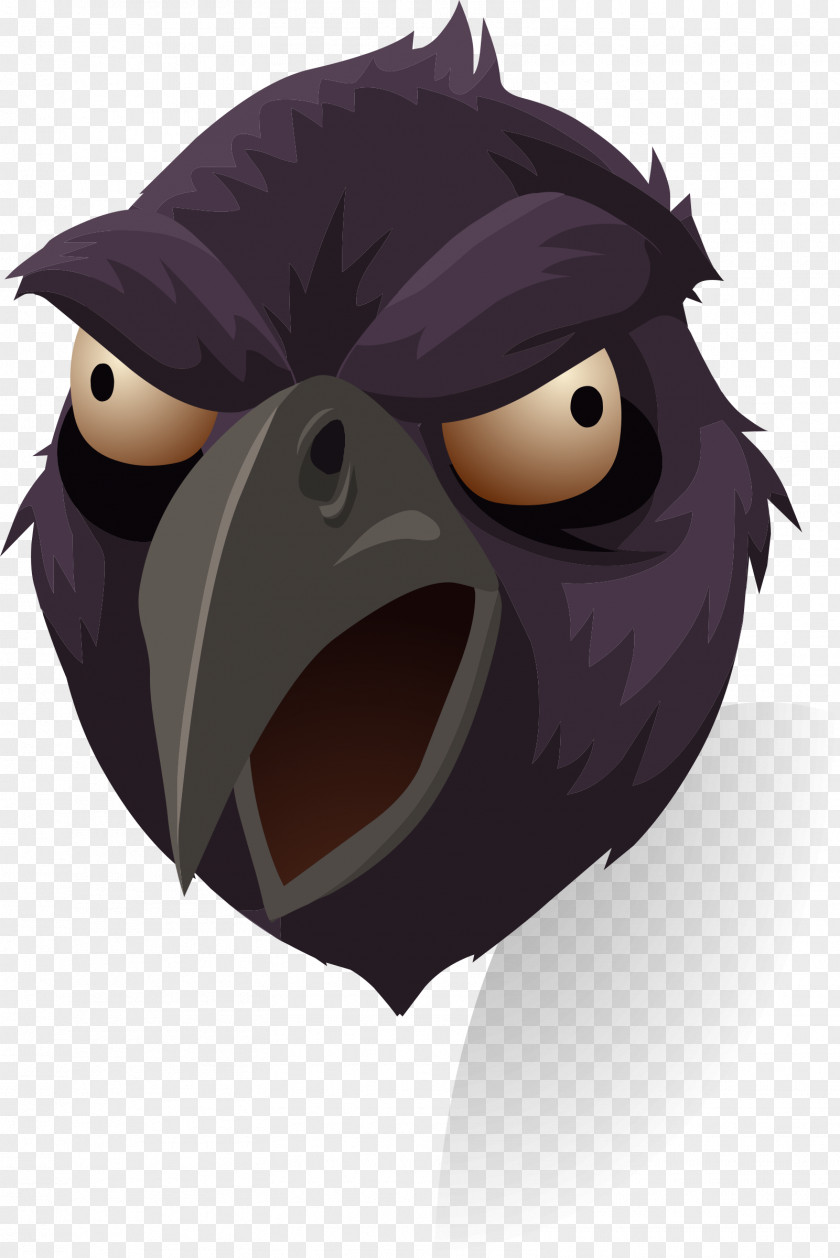 Bird Rook Common Raven Cartoon Drawing PNG