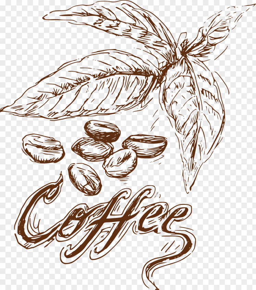 Dining Element Hand-drawn Artwork Coffee Bean Food PNG