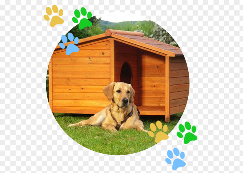 Dog Houses Cat Kennel Pet PNG