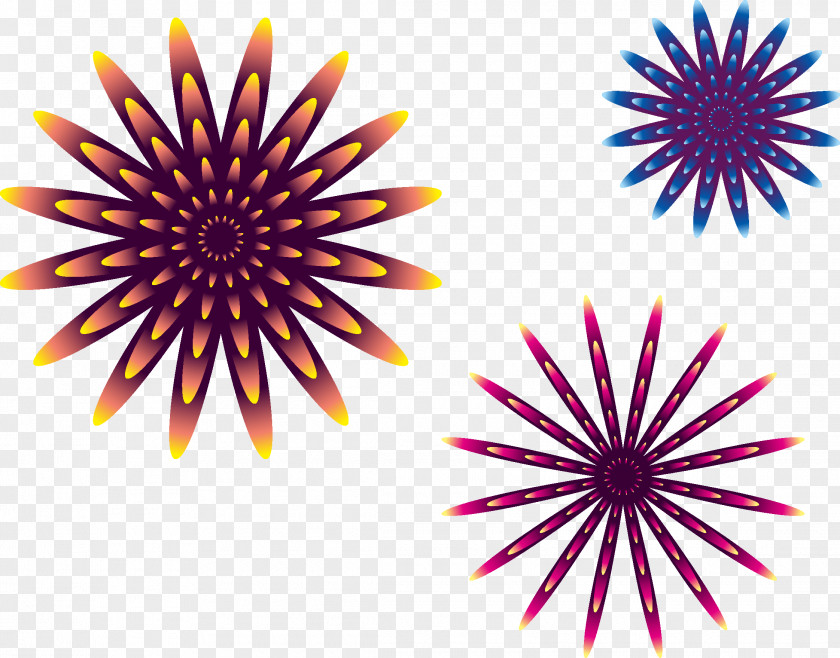 Fireworks Flower Drawing Graphic Design Clip Art PNG