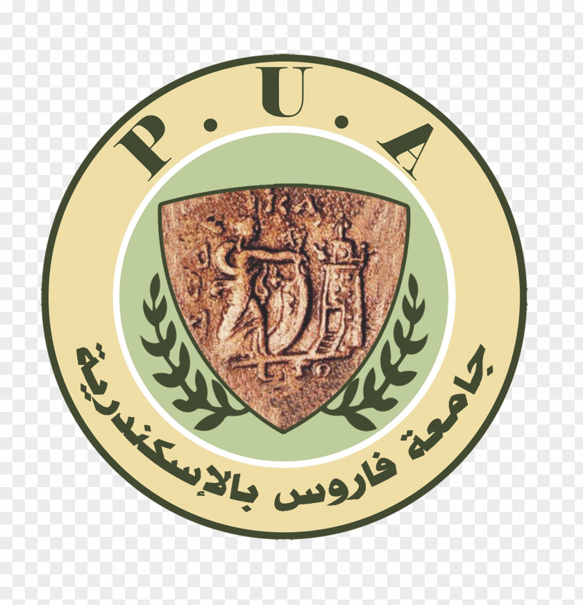Pua Kumbu Alexandria Higher Institute Of Engineering And Technology Pharos University In Misr For Science PNG