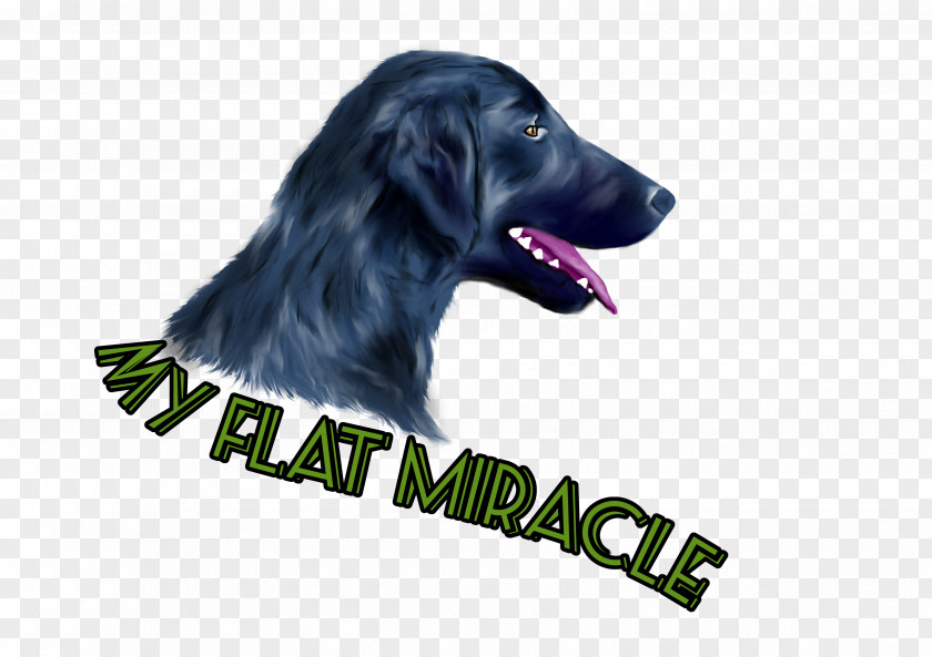 Puppy Flat-Coated Retriever Labrador Dog Breed PNG