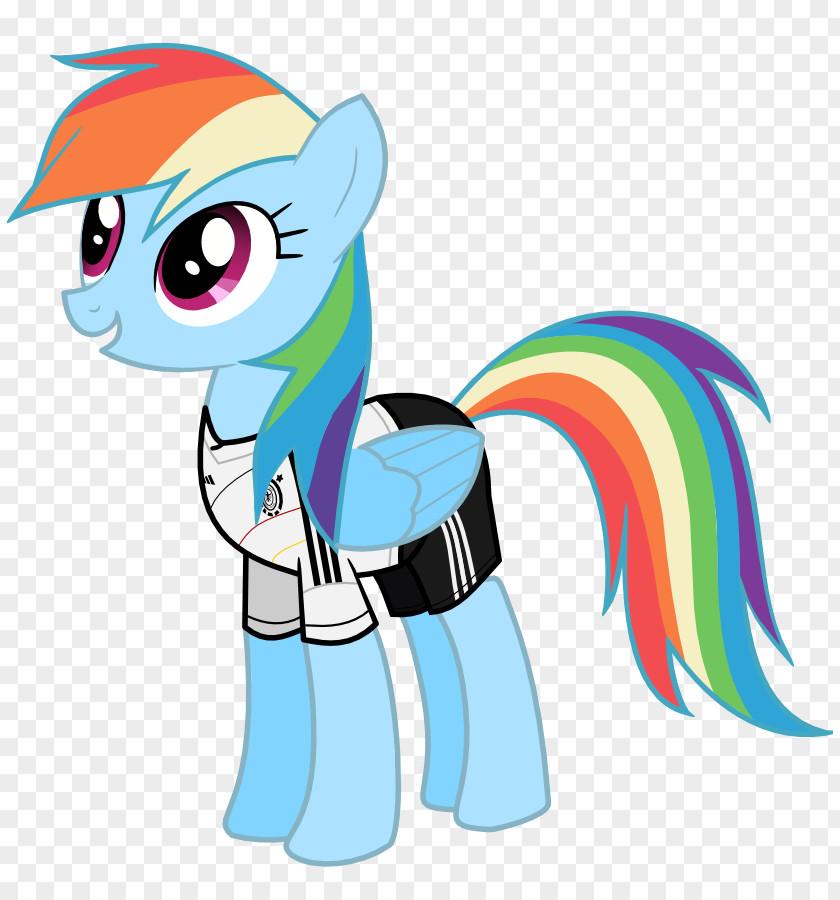 Rainbow Dash Applejack Pony PNG