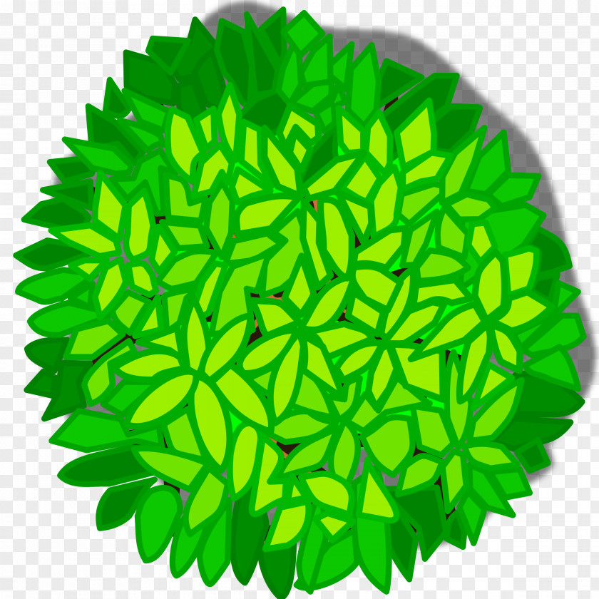Tree Top View Clip Art PNG