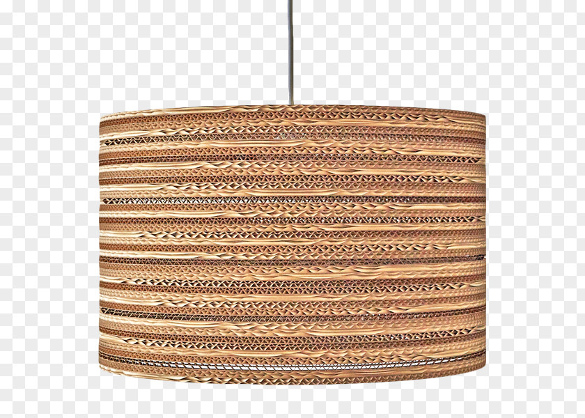 Wide Canopy Ceiling Light Fixture PNG