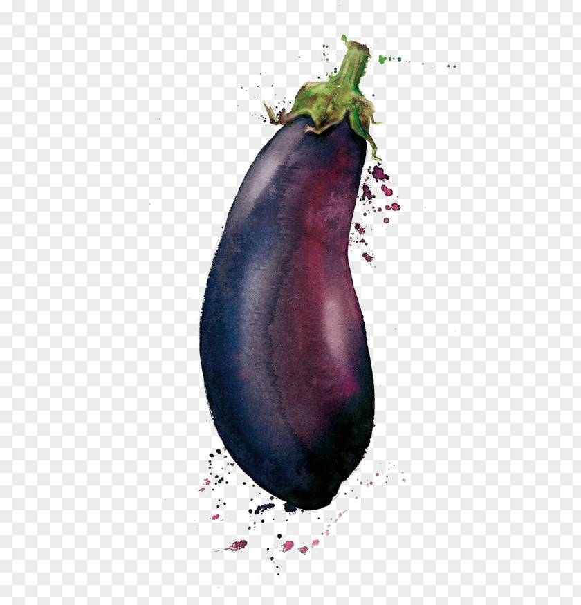 Eggplant Watercolor Painting Vegetable Drawing Illustration PNG