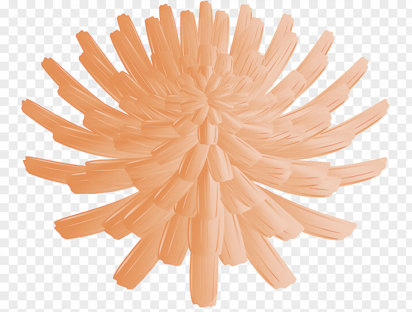 Dandelion Flower PNG