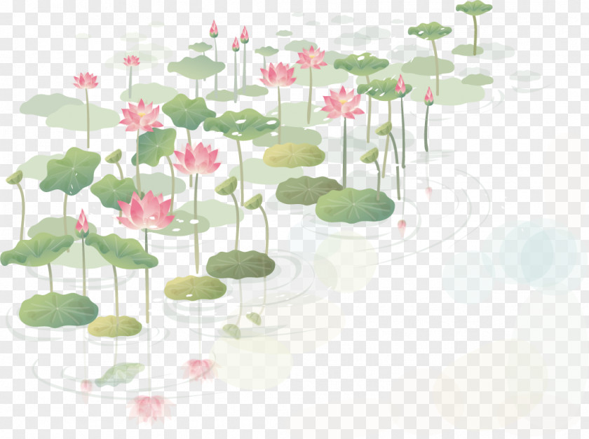 Hand-painted Lotus Flower Drawing Clip Art PNG