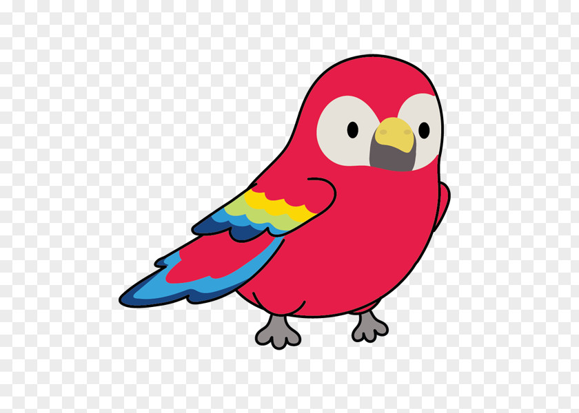 Macaw Budgie Bird Cartoon Parrot Beak Parakeet PNG