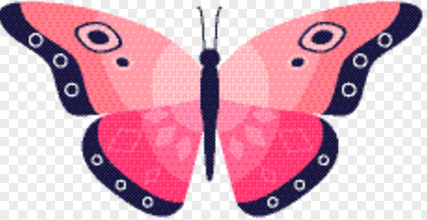 Pieridae Emperor Moths Butterfly Cartoon PNG