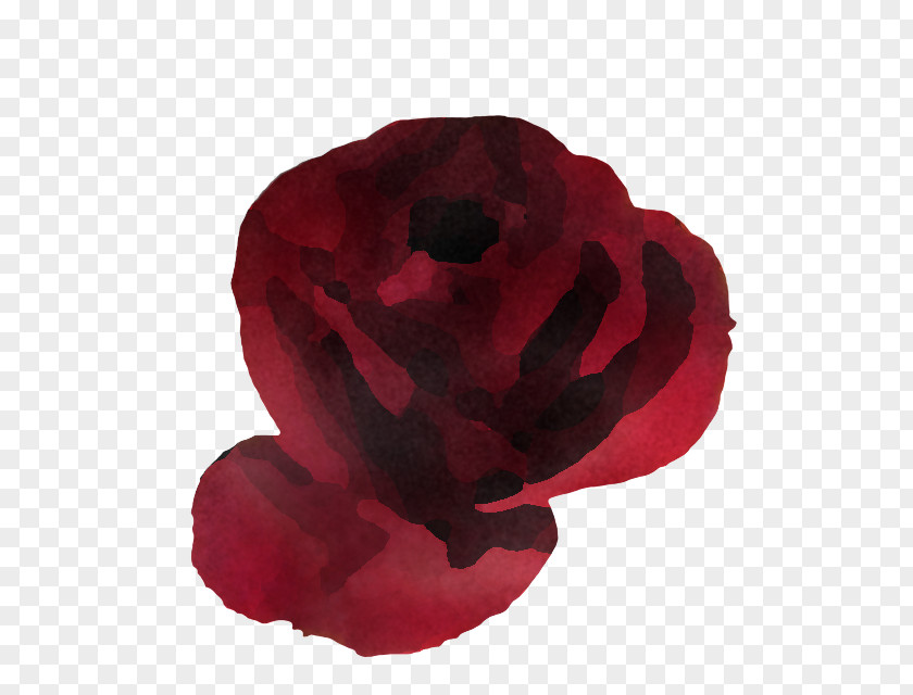 Rose PNG