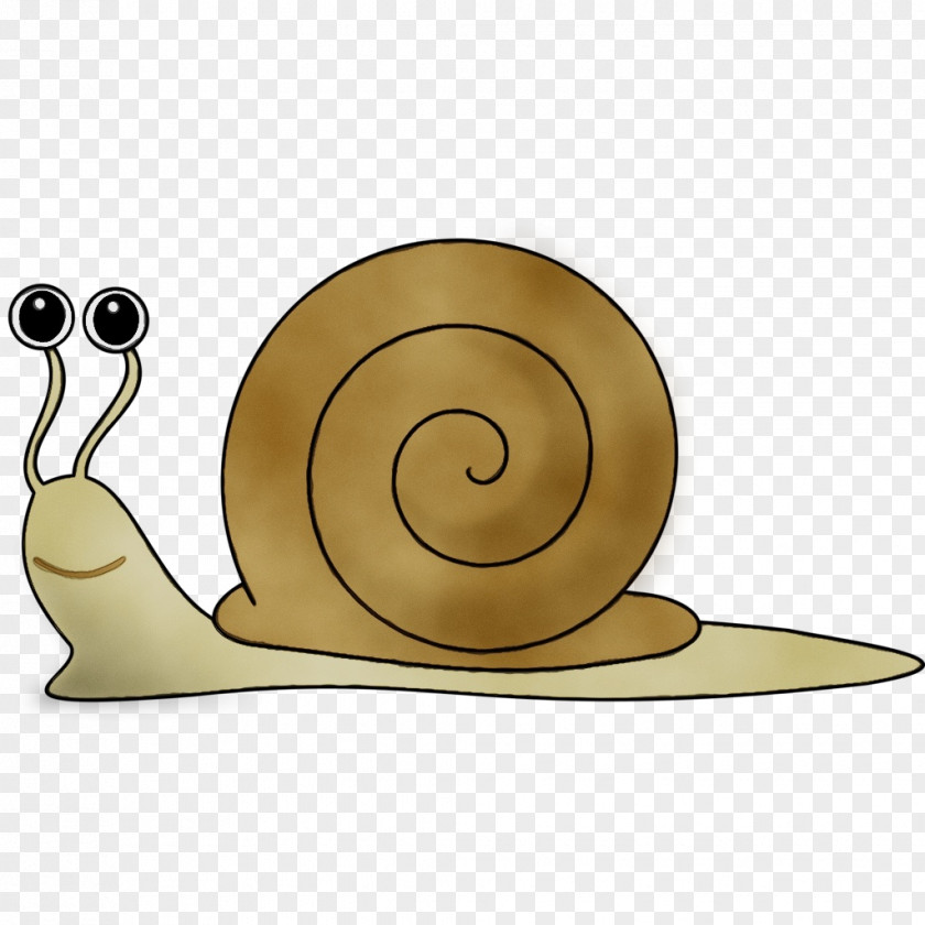 Gastropods Destination Gratte-ciel Snail Cartoon Slug PNG