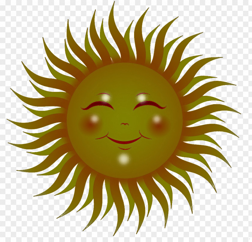 Green Yellow Facial Expression Smile Eye PNG