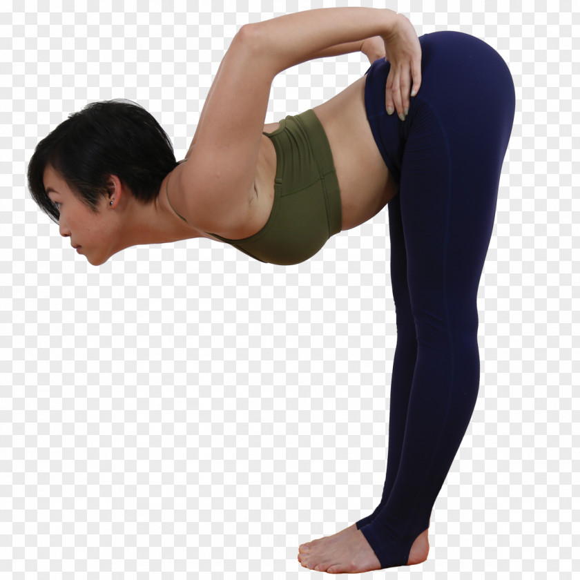 International Yoga Hip Uttanasana Tadasana Urdhva Vrikshasana PNG