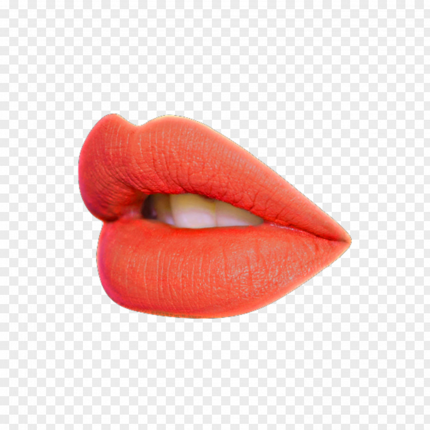 Lipstick Cosmetics Lip Gloss Balm PNG