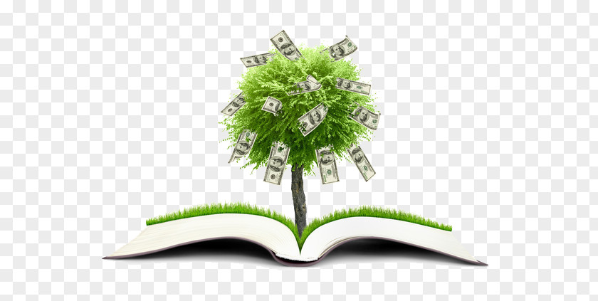 Long Money Tree And Books Coin Finance Wallpaper PNG