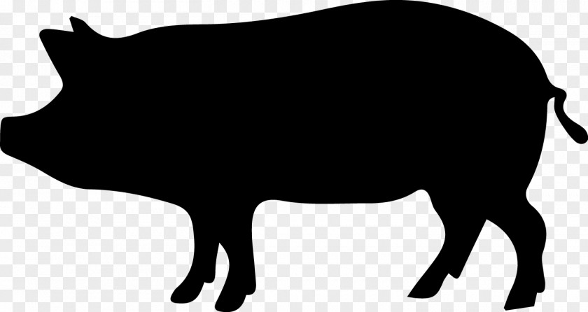 Porco Wild Boar Clip Art PNG