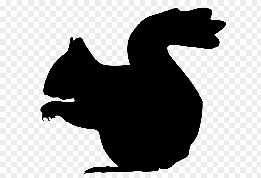 Squirrel Silhouette Clip Art PNG