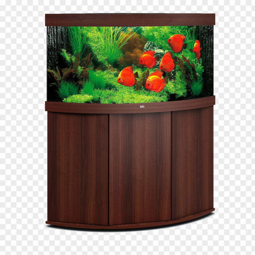 Trigon Aquarium Filters Lighting Heater Discus PNG