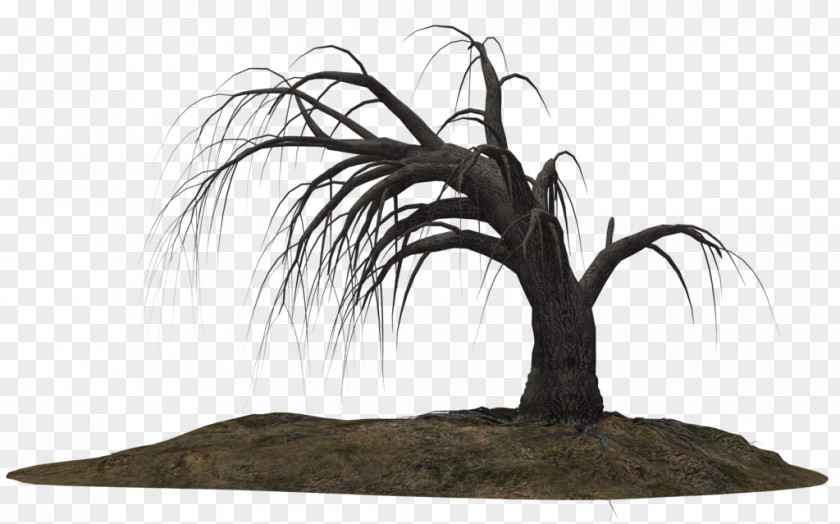 Winter Dead Trees Tree Drawing Clip Art PNG