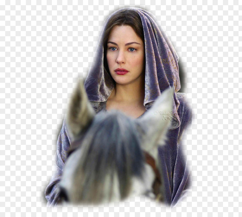 Arwen Liv Tyler The Lord Of Rings: Fellowship Ring Battle For Middle-earth PNG