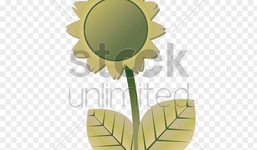 Cartoon Sunflower Product Design Graphics Illustration M PNG