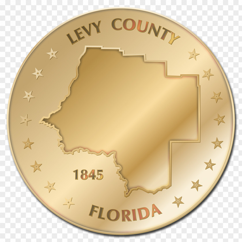 Coin Silver Gold Bullion PNG