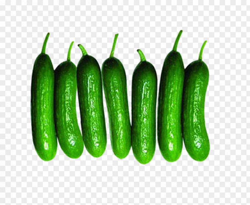 Cucumber Serrano Pepper Vegetable Melon Food PNG