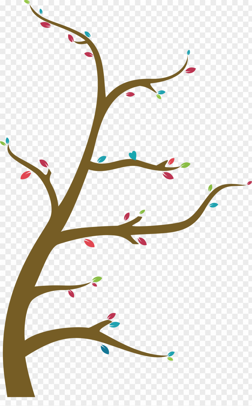 Cute Tree PNG