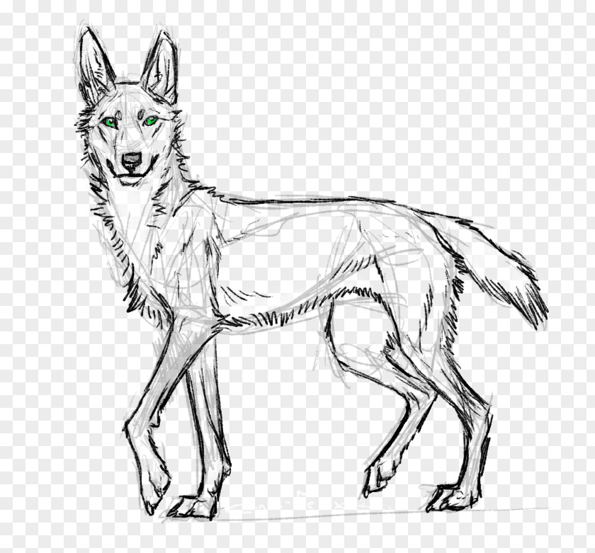 Dog Breed Red Fox Line Art Drawing PNG
