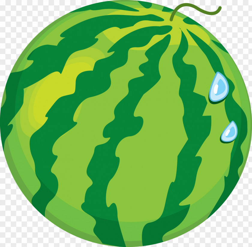 Melon Watermelon Clip Art PNG