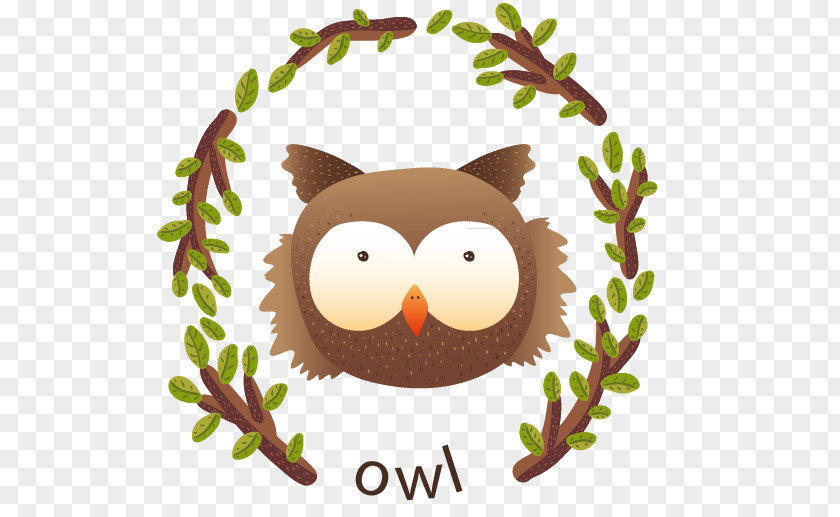 Owl Animal Drawing Poster Illustration PNG