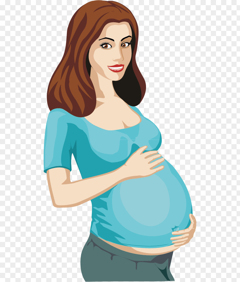 Pregnant Women Vector Material Pregnancy Woman Clip Art PNG