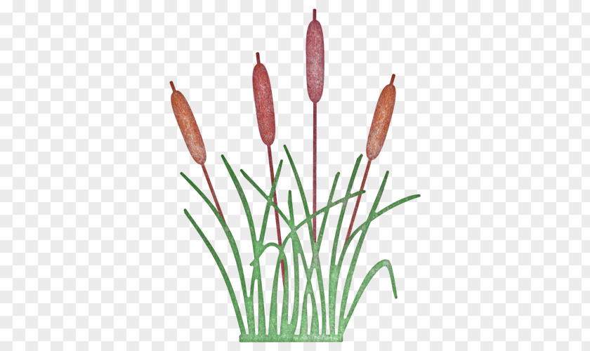 Reeds Cattail Cheery Lynn Designs Plant West Road Tulip PNG