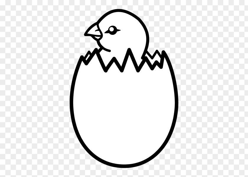 Chicken Fat Duck Egg Kifaranga PNG