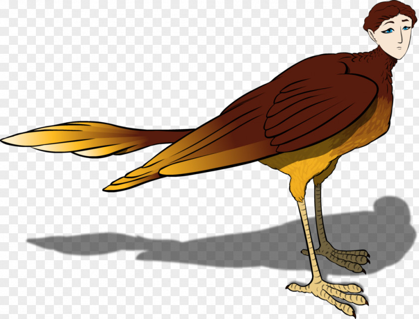 Siren Mythology Bird Of Prey Beak Water Illustration PNG