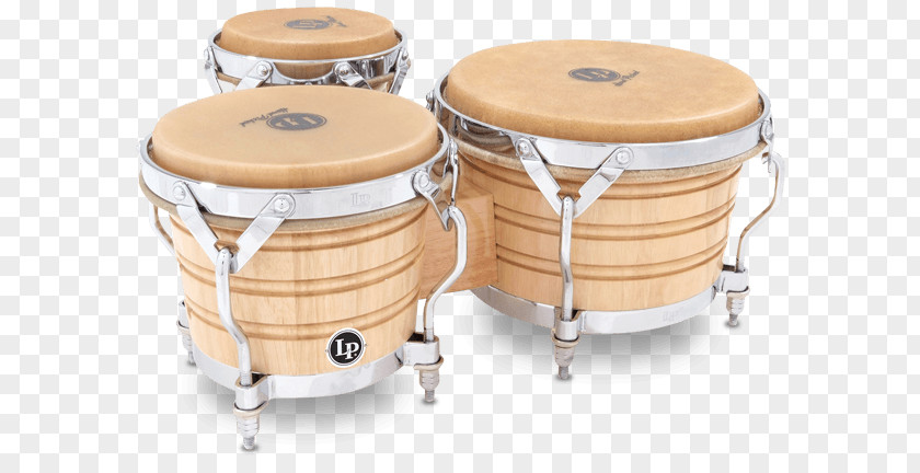Bongo Drum Tom-Toms Timbales Latin Percussion PNG
