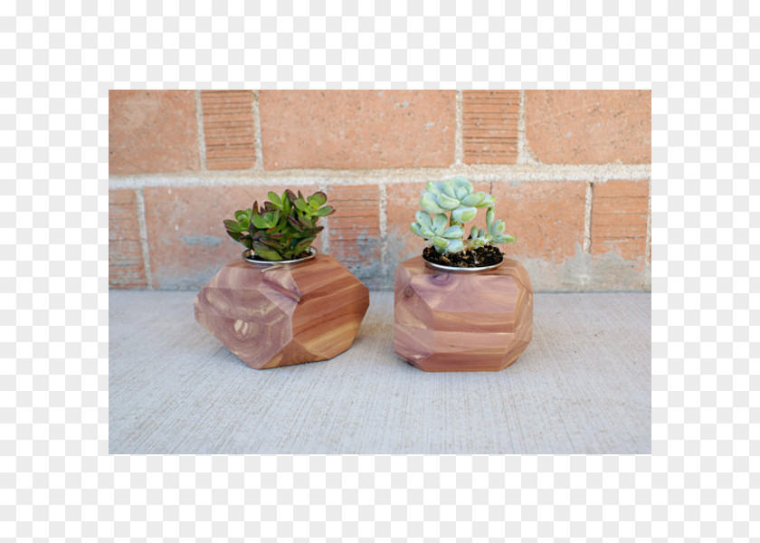 Cactus Vase Ceramic Flowerpot PNG