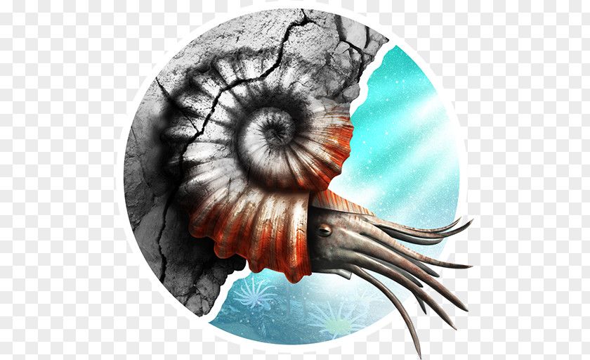 Eye Invertebrate Nautiluses PNG