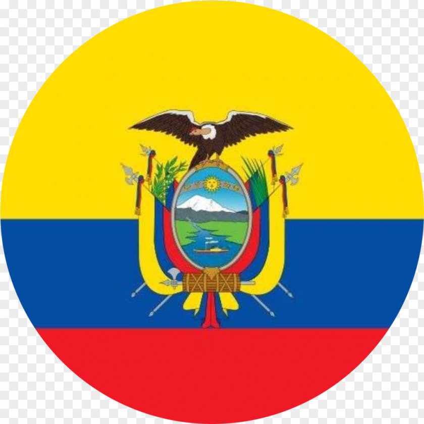 Flag Of Ecuador Colombia Brazil PNG