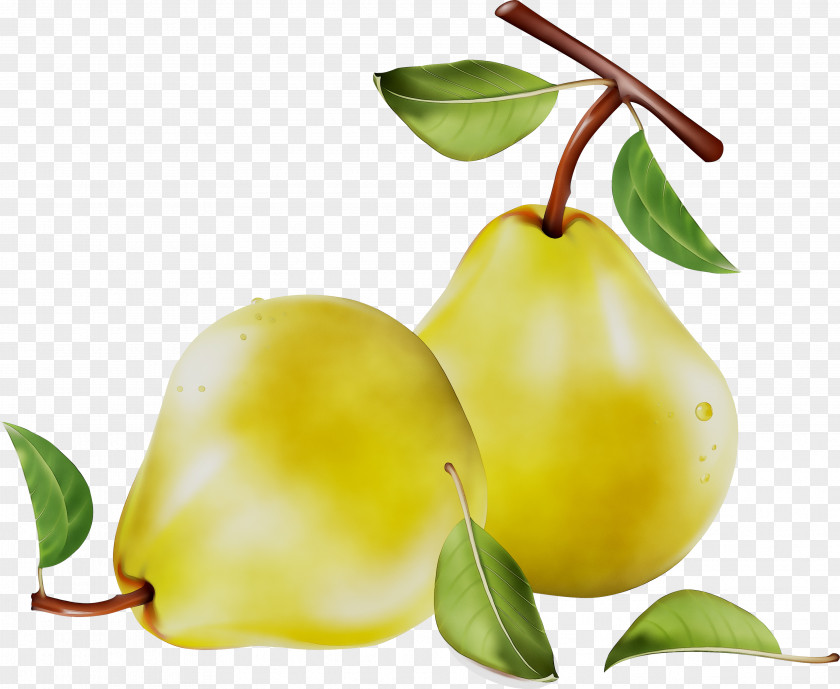 Pear Still Life Photography Superfood PNG