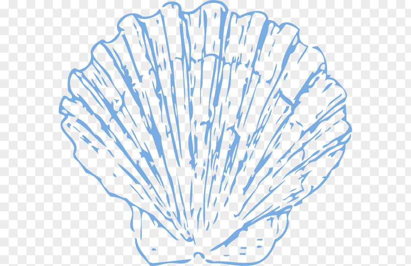Scallop Cliparts Seashell Blue Clip Art PNG