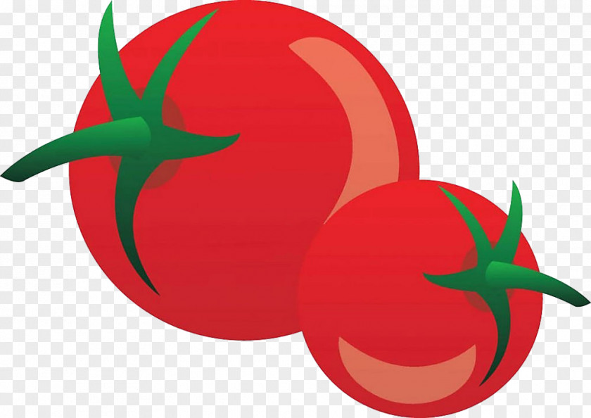 Cartoon Tomato Juice Vegetable PNG