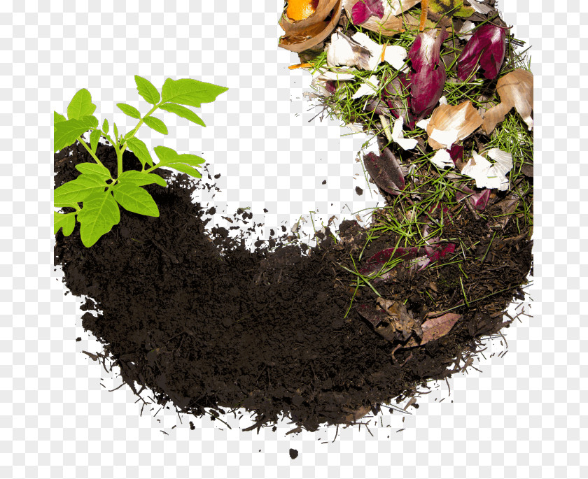 Compost Recycling Sustainability Food Waste Biodegradable PNG
