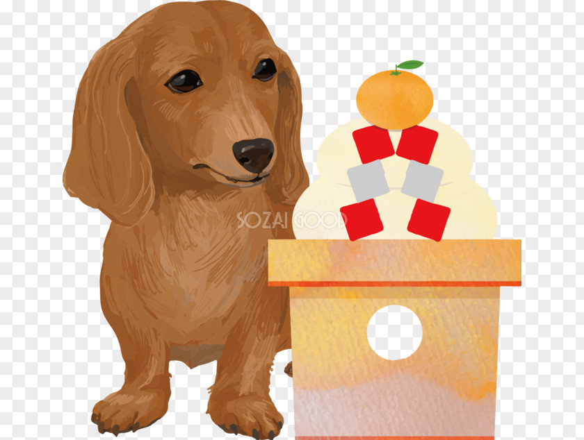 Dog Illust Golden Retriever Puppy Dachshund Breed Companion PNG